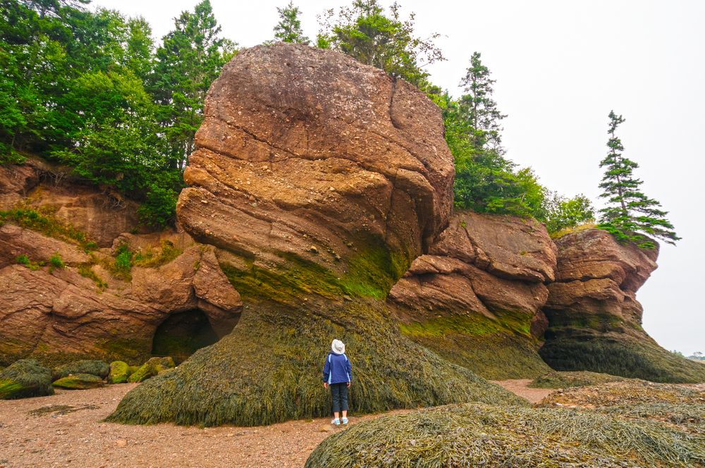 https://mdw-travel-data-us-east-1.s3.amazonaws.com/img/country/Canada/Hopewell-Rocks/img_04.jpg