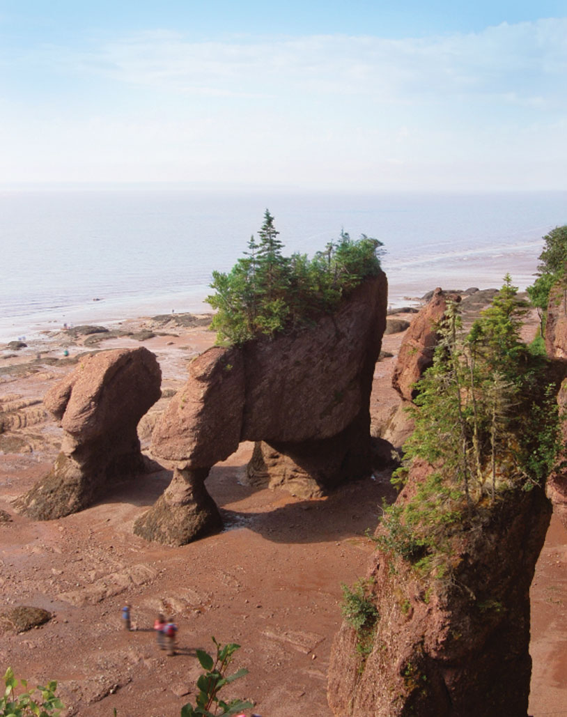 https://mdw-travel-data-us-east-1.s3.amazonaws.com/img/country/Canada/Hopewell-Rocks/img_05.jpg