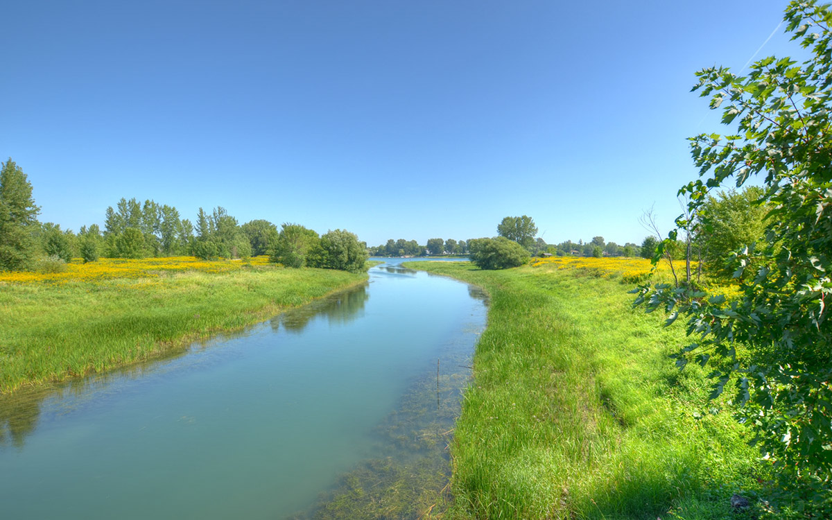 https://mdw-travel-data-us-east-1.s3.amazonaws.com/img/country/Canada/Iles-de-Boucherville-National-Park/img_01.jpg