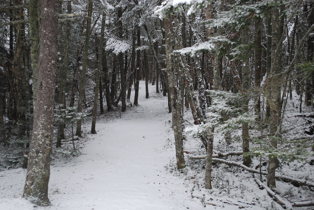 https://mdw-travel-data-us-east-1.s3.amazonaws.com/img/country/Canada/Irving-Nature-Park/img_03.jpg