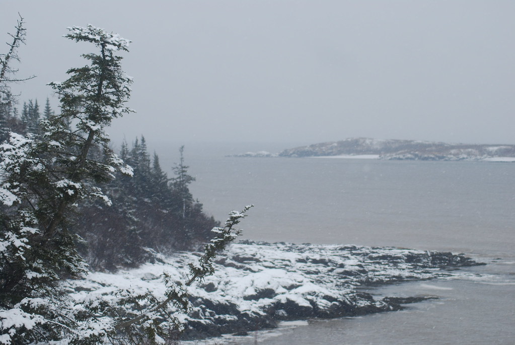 https://mdw-travel-data-us-east-1.s3.amazonaws.com/img/country/Canada/Irving-Nature-Park/img_04.jpg