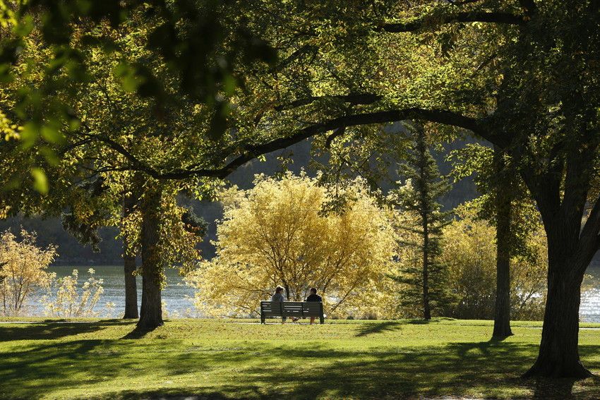 https://mdw-travel-data-us-east-1.s3.amazonaws.com/img/country/Canada/Kiwanis-Memorial-Park/img_01.jpg