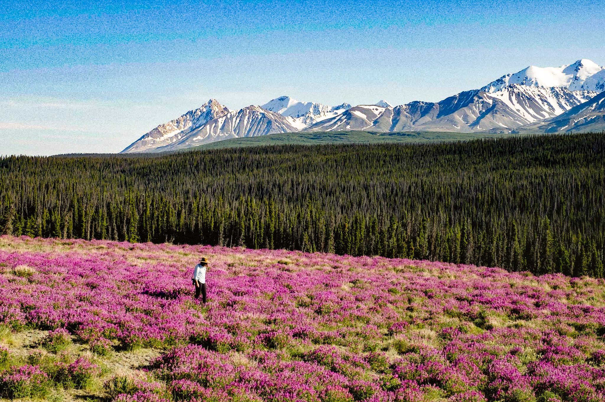 https://mdw-travel-data-us-east-1.s3.amazonaws.com/img/country/Canada/Kluane-National-Park-and-Reserve/img_02.jpg