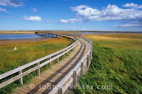 https://mdw-travel-data-us-east-1.s3.amazonaws.com/img/country/Canada/Kouchibouguac-National-Park/img_02.jpg
