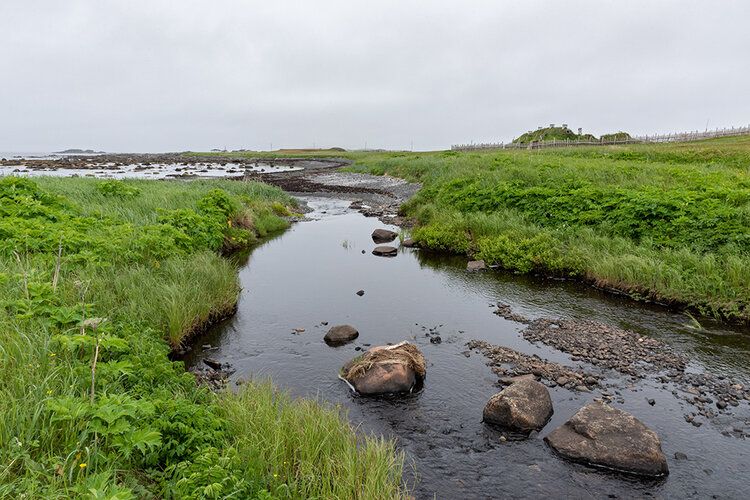 https://mdw-travel-data-us-east-1.s3.amazonaws.com/img/country/Canada/LAnse-aux-Meadows/img_03.jpg