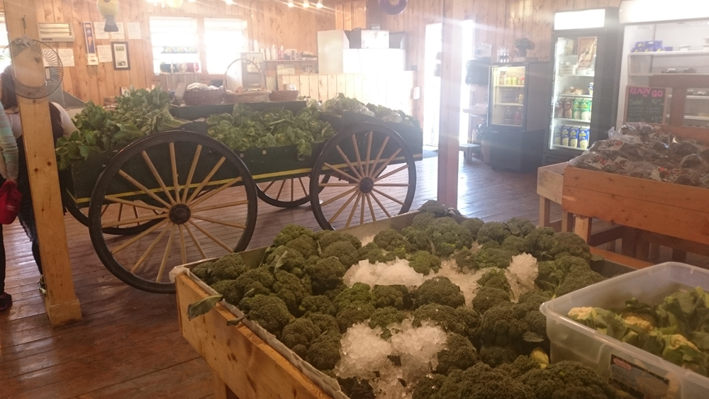 https://mdw-travel-data-us-east-1.s3.amazonaws.com/img/country/Canada/Lesters-Farm-Market/img_01.jpg