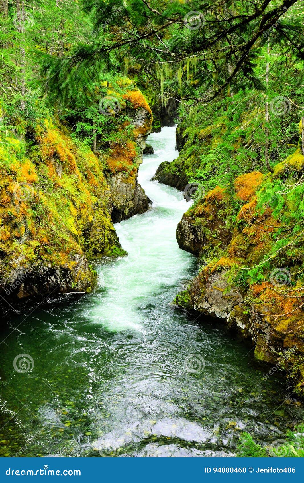 https://mdw-travel-data-us-east-1.s3.amazonaws.com/img/country/Canada/Little-Qualicum-Falls-Provincial-Park/img_02.jpg