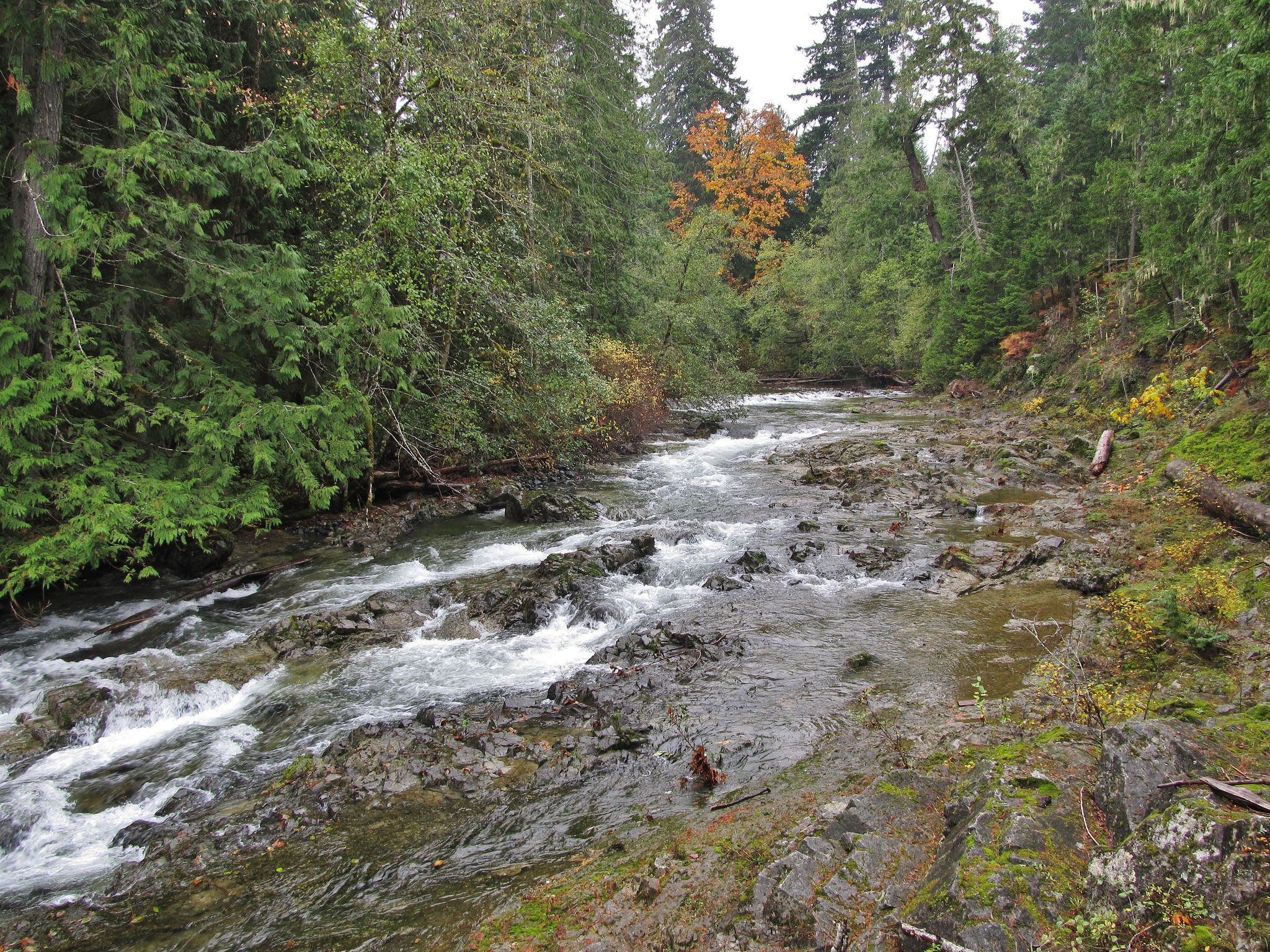 https://mdw-travel-data-us-east-1.s3.amazonaws.com/img/country/Canada/Little-Qualicum-Falls-Provincial-Park/img_03.jpg