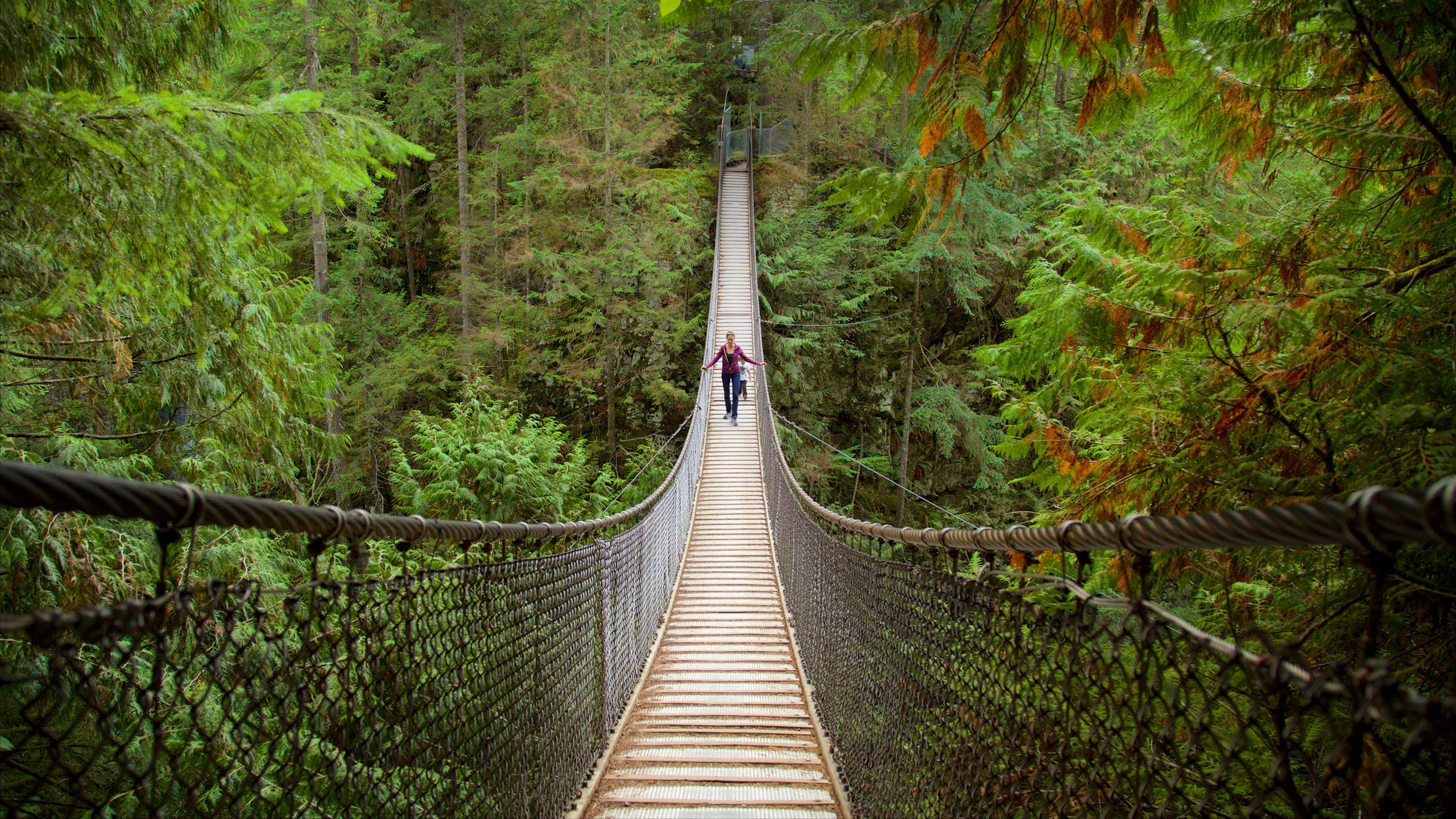 https://mdw-travel-data-us-east-1.s3.amazonaws.com/img/country/Canada/Lynn-Canyon-Park/img_01.jpg