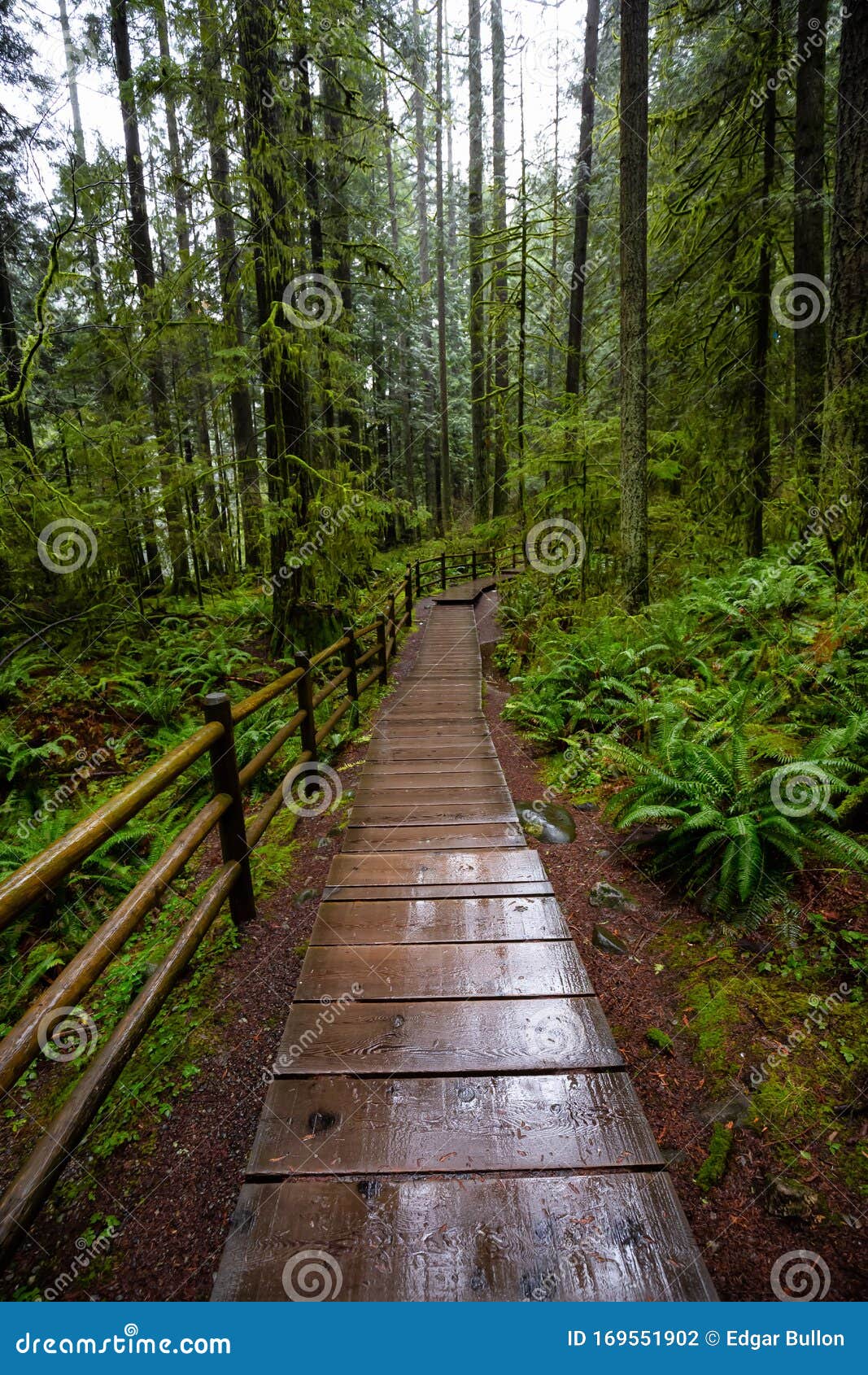 https://mdw-travel-data-us-east-1.s3.amazonaws.com/img/country/Canada/Lynn-Canyon-Park/img_02.jpg
