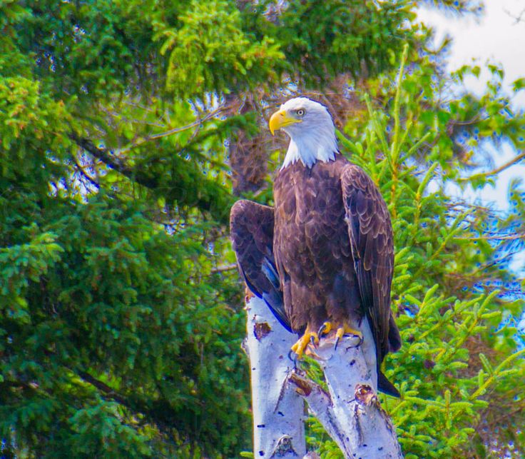 https://mdw-travel-data-us-east-1.s3.amazonaws.com/img/country/Canada/Manitoba-Prairie-Eagle-Reserve/img_01.jpg