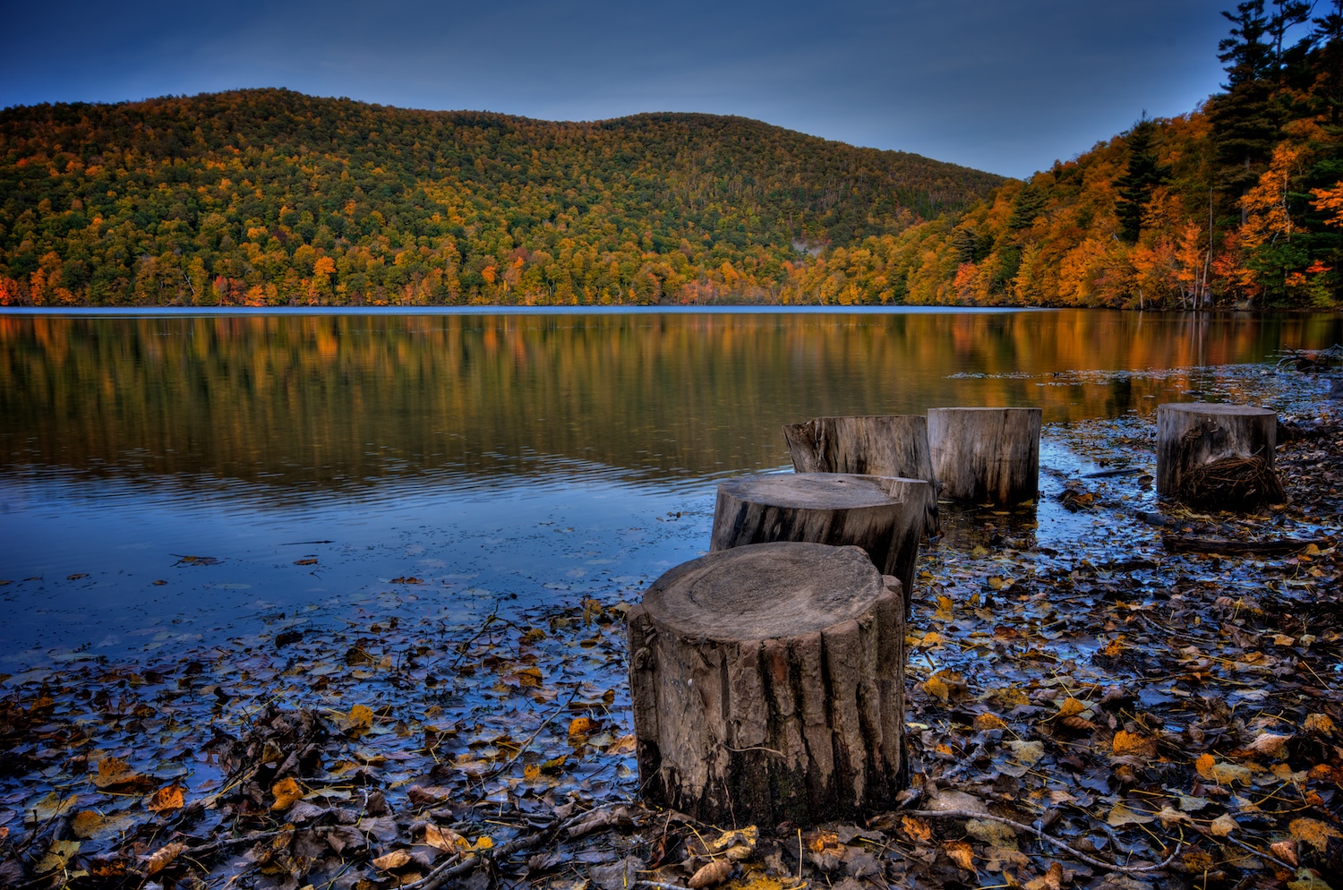 https://mdw-travel-data-us-east-1.s3.amazonaws.com/img/country/Canada/Mont-Saint-Bruno-National-Park/img_01.jpg
