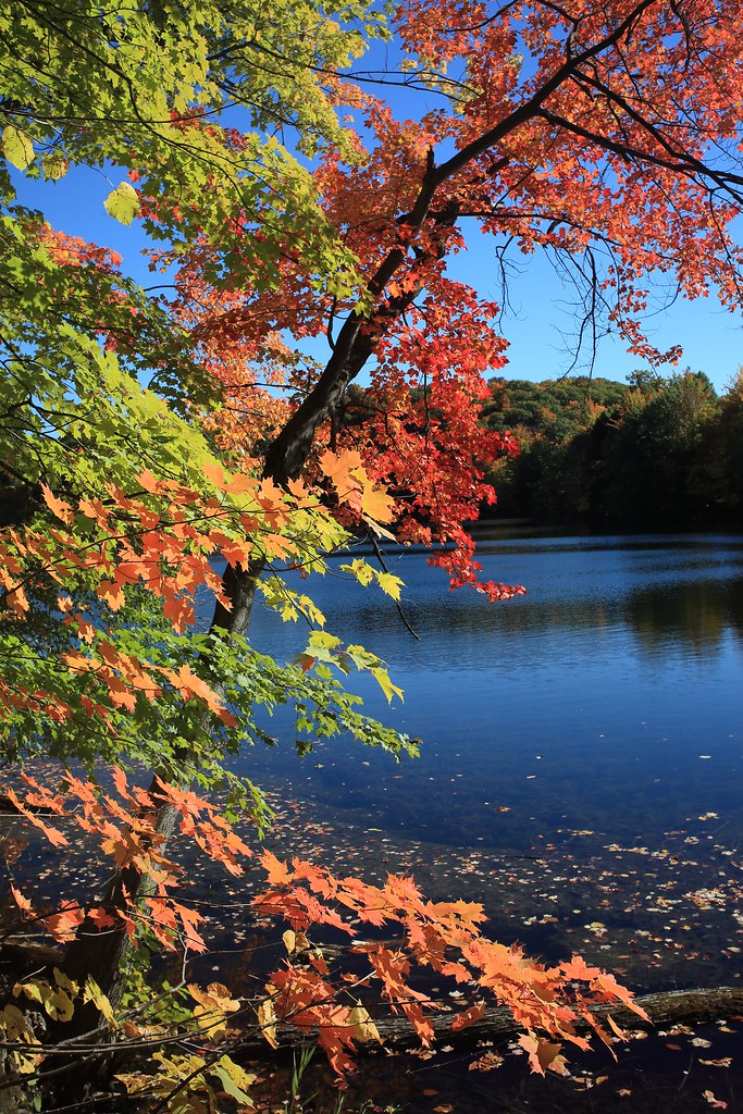 https://mdw-travel-data-us-east-1.s3.amazonaws.com/img/country/Canada/Mont-Saint-Bruno-National-Park/img_02.jpg