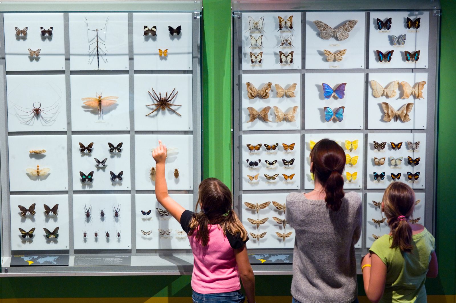 https://mdw-travel-data-us-east-1.s3.amazonaws.com/img/country/Canada/Montreal-Insectarium/img_01.jpg