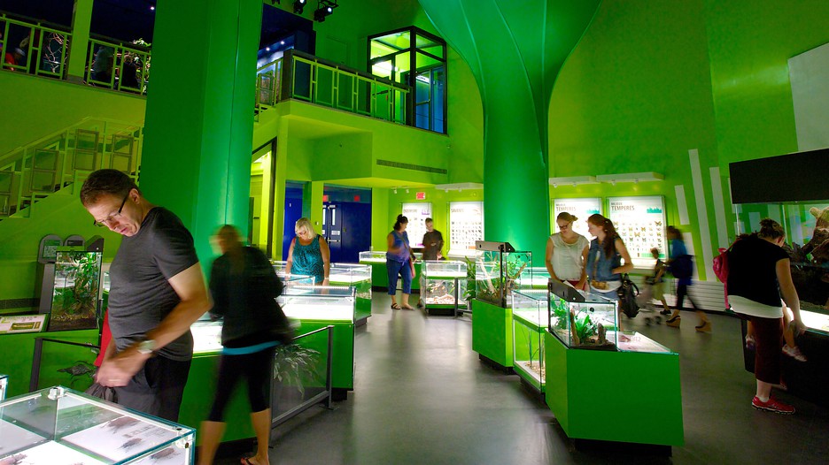 https://mdw-travel-data-us-east-1.s3.amazonaws.com/img/country/Canada/Montreal-Insectarium/img_03.jpg