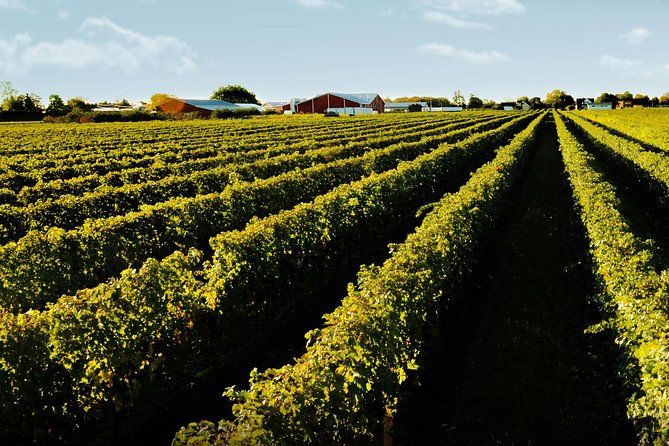 https://mdw-travel-data-us-east-1.s3.amazonaws.com/img/country/Canada/Niagara-Wine-Tours-International/img_02.jpg