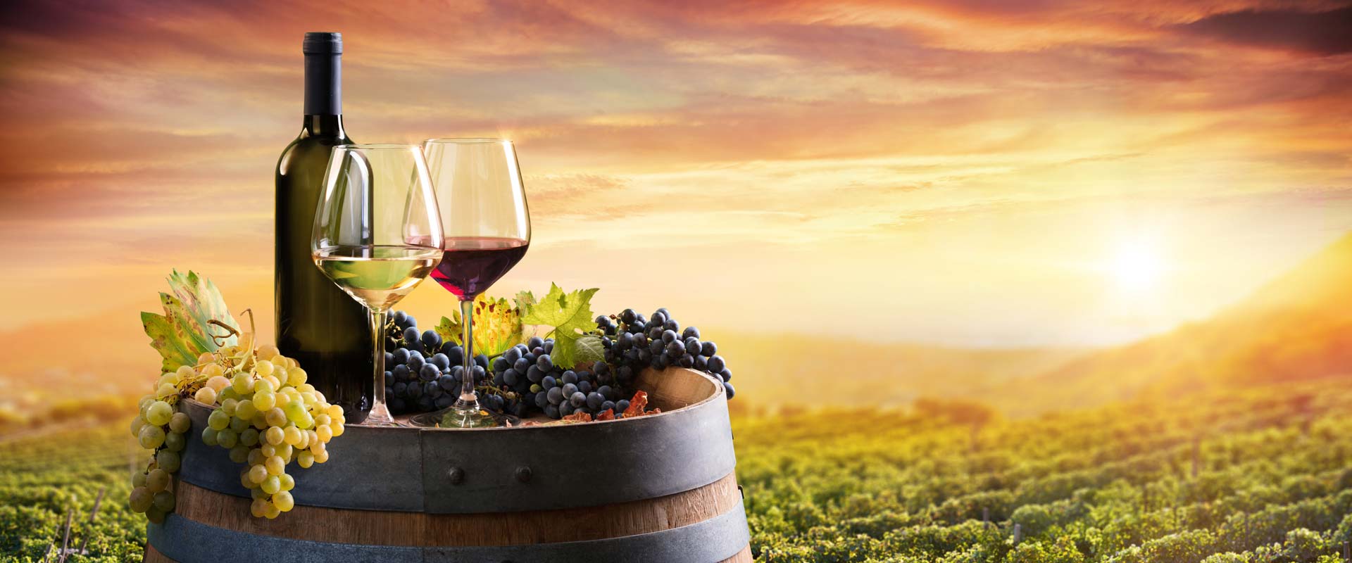 https://mdw-travel-data-us-east-1.s3.amazonaws.com/img/country/Canada/Niagara-Wine-Tours-International/img_03.jpg