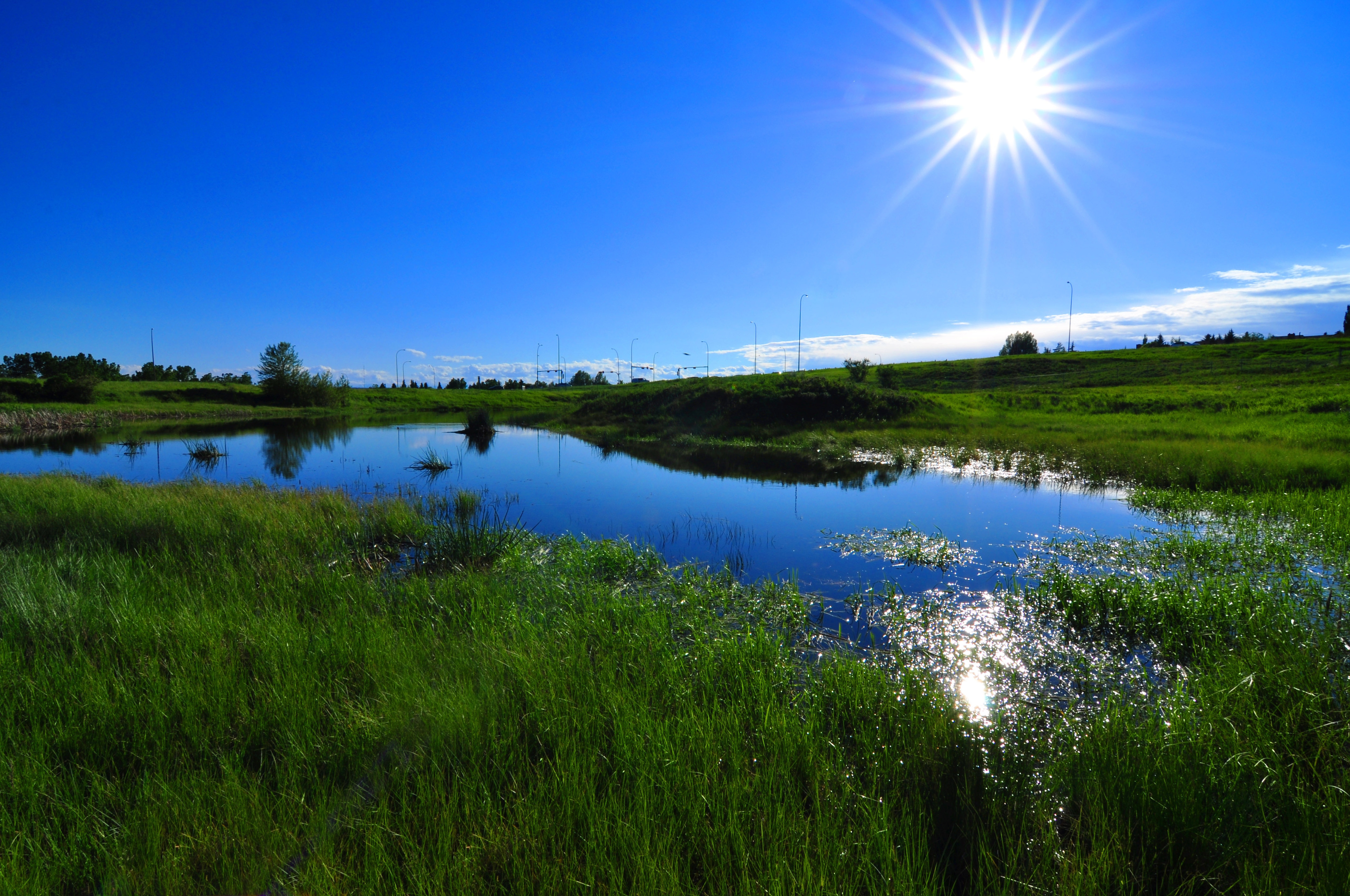 https://mdw-travel-data-us-east-1.s3.amazonaws.com/img/country/Canada/Nose-Hill-Park/img_01.jpg