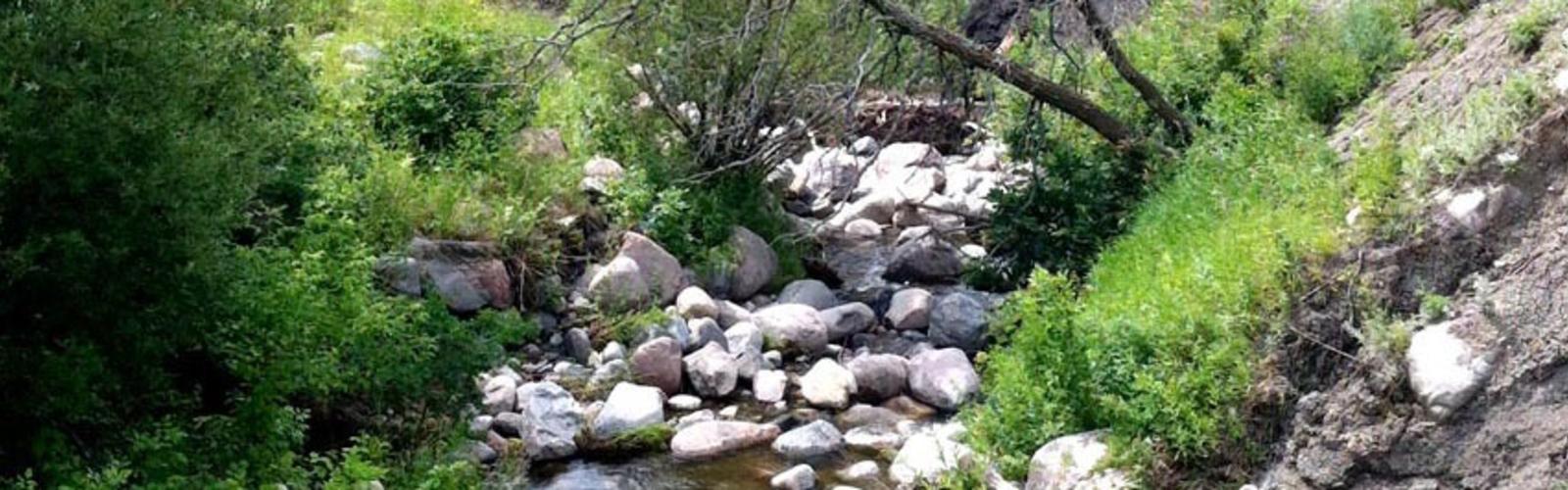 https://mdw-travel-data-us-east-1.s3.amazonaws.com/img/country/Canada/Pembina-Valley-Provincial-Park/img_01.jpg