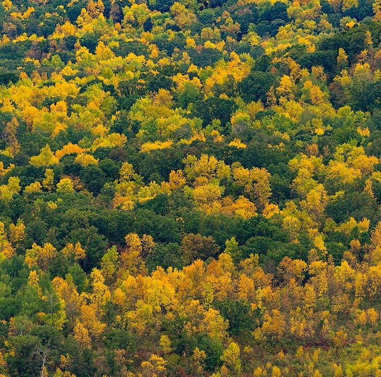 https://mdw-travel-data-us-east-1.s3.amazonaws.com/img/country/Canada/Pembina-Valley-Provincial-Park/img_05.jpg