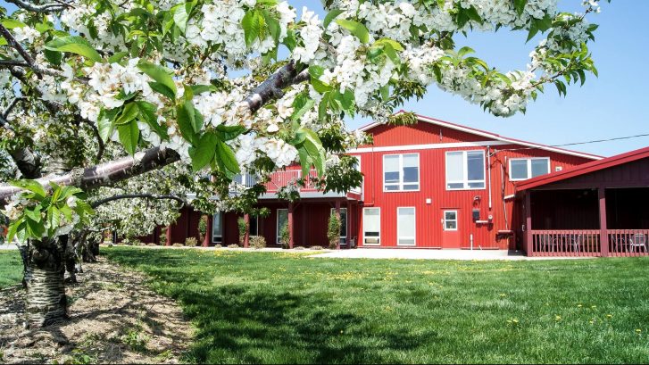 https://mdw-travel-data-us-east-1.s3.amazonaws.com/img/country/Canada/Pillitteri-Estates-Winery/img_01.jpg