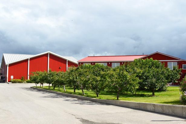 https://mdw-travel-data-us-east-1.s3.amazonaws.com/img/country/Canada/Pillitteri-Estates-Winery/img_02.jpg