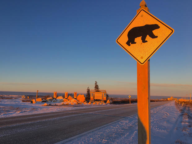 https://mdw-travel-data-us-east-1.s3.amazonaws.com/img/country/Canada/Polar-Bear-Capital-of-the-World/img_01.jpg