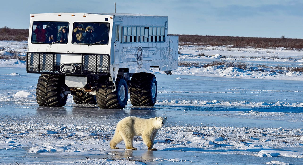 https://mdw-travel-data-us-east-1.s3.amazonaws.com/img/country/Canada/Polar-Bear-Provincial-Park/img_02.jpg