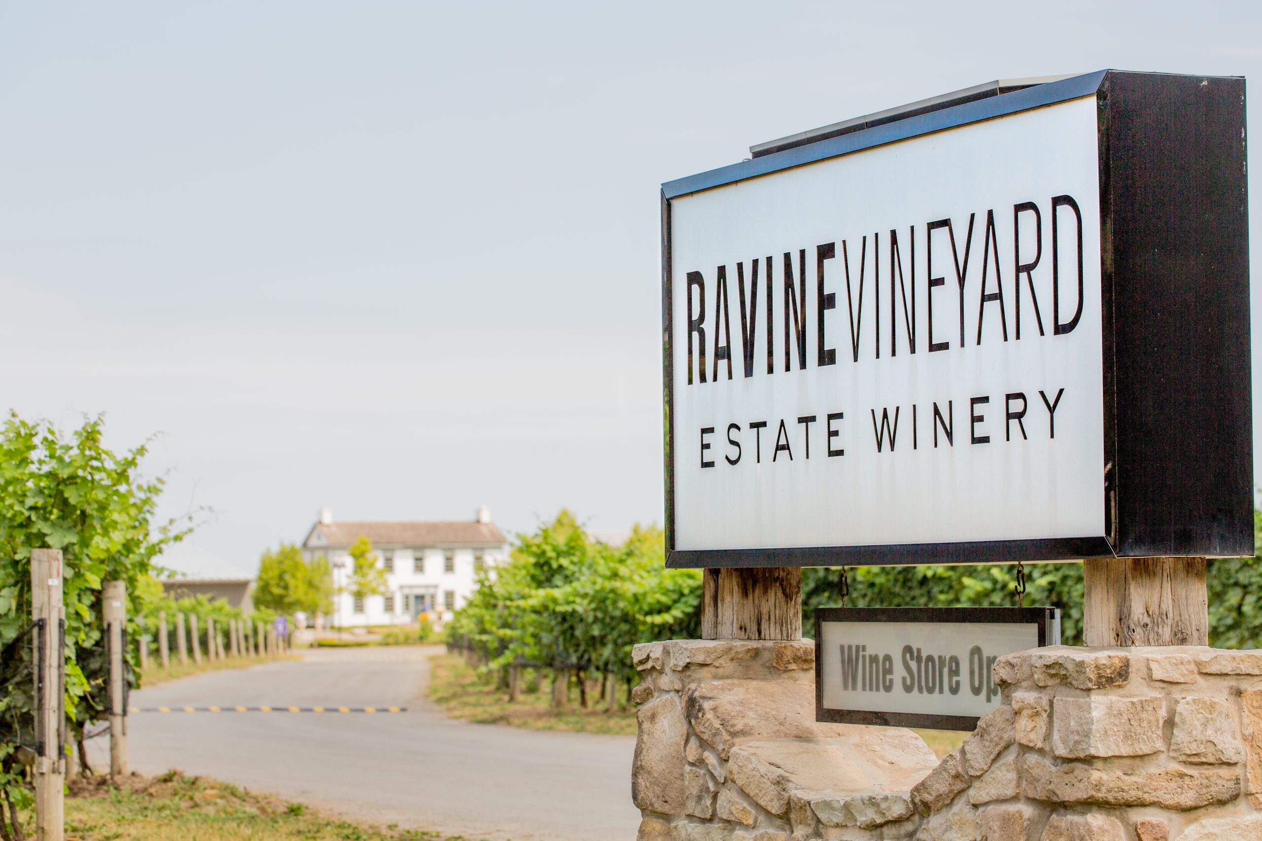 https://mdw-travel-data-us-east-1.s3.amazonaws.com/img/country/Canada/Ravine-Vineyard-Estate-Winery/img_01.jpg