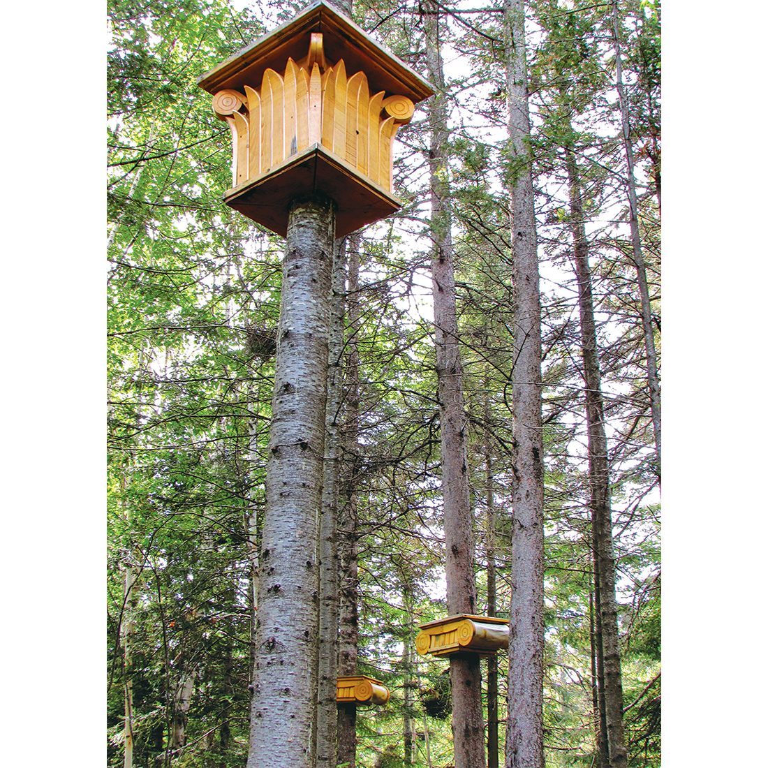 https://mdw-travel-data-us-east-1.s3.amazonaws.com/img/country/Canada/Reford-Gardens/img_03.jpg