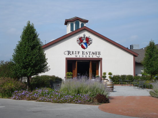 https://mdw-travel-data-us-east-1.s3.amazonaws.com/img/country/Canada/Reif-Estate-Winery/img_03.jpg