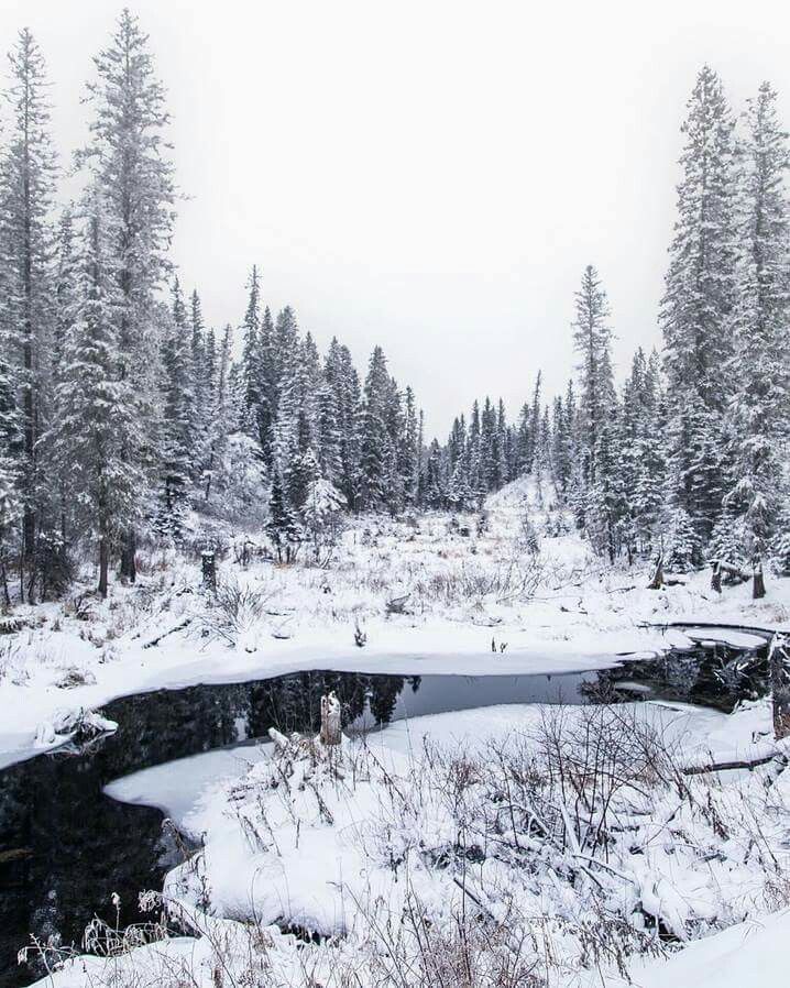 https://mdw-travel-data-us-east-1.s3.amazonaws.com/img/country/Canada/Riding-Mountain-National-Park/img_02.jpg