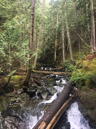 https://mdw-travel-data-us-east-1.s3.amazonaws.com/img/country/Canada/Roderick-Haig-Brown-Provincial-Park/img_01.jpg