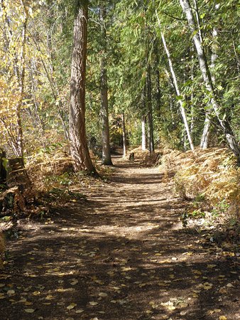 https://mdw-travel-data-us-east-1.s3.amazonaws.com/img/country/Canada/Roderick-Haig-Brown-Provincial-Park/img_02.jpg