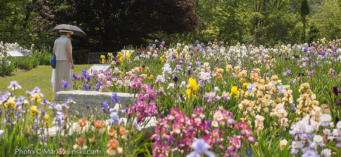 https://mdw-travel-data-us-east-1.s3.amazonaws.com/img/country/Canada/Royal-Botanical-Gardens/img_03.jpg