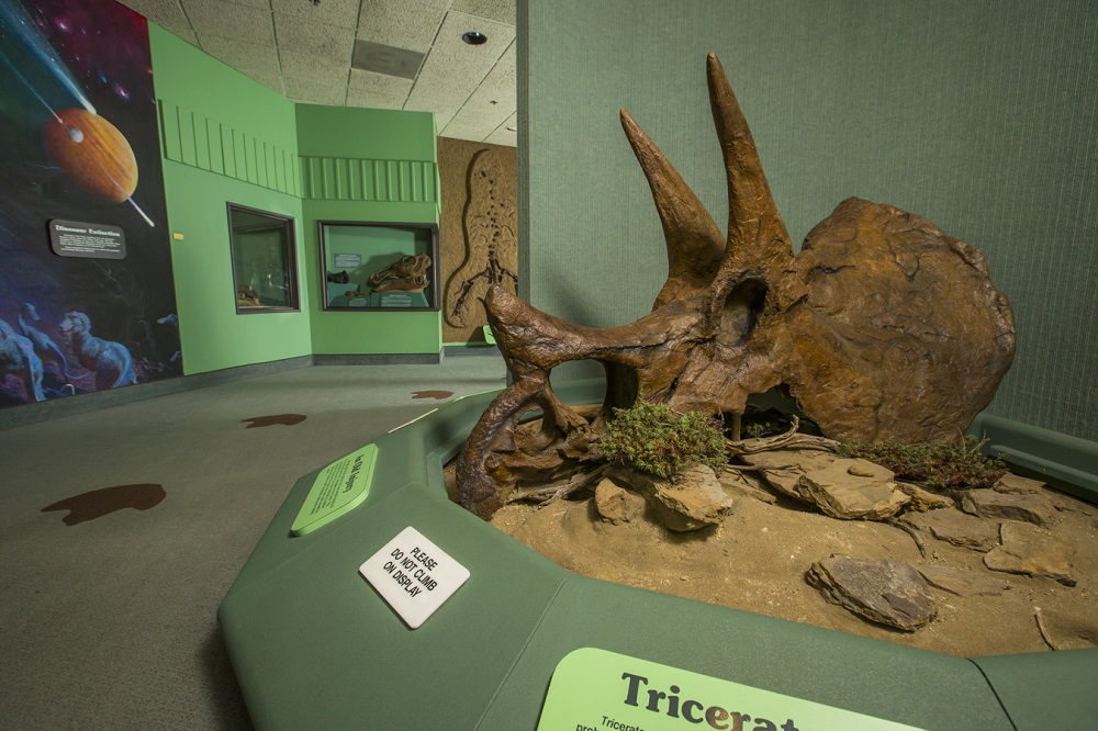 https://mdw-travel-data-us-east-1.s3.amazonaws.com/img/country/Canada/Royal-Saskatchewan-Museum/img_03.jpg