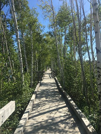 https://mdw-travel-data-us-east-1.s3.amazonaws.com/img/country/Canada/Sackville-Waterfowl-Park/img_02.jpg
