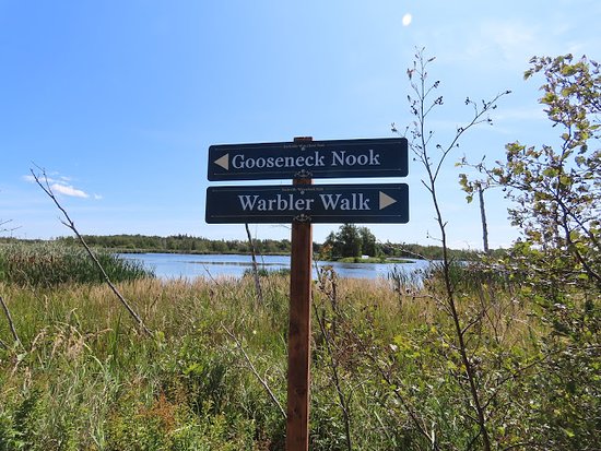 https://mdw-travel-data-us-east-1.s3.amazonaws.com/img/country/Canada/Sackville-Waterfowl-Park/img_03.jpg