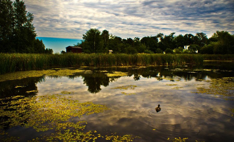 https://mdw-travel-data-us-east-1.s3.amazonaws.com/img/country/Canada/Sackville-Waterfowl-Park/img_05.jpg