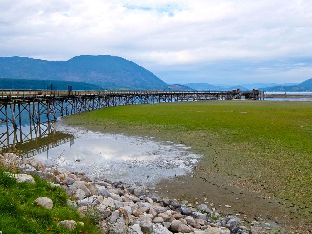 https://mdw-travel-data-us-east-1.s3.amazonaws.com/img/country/Canada/Shuswap-Lake/img_05.jpg