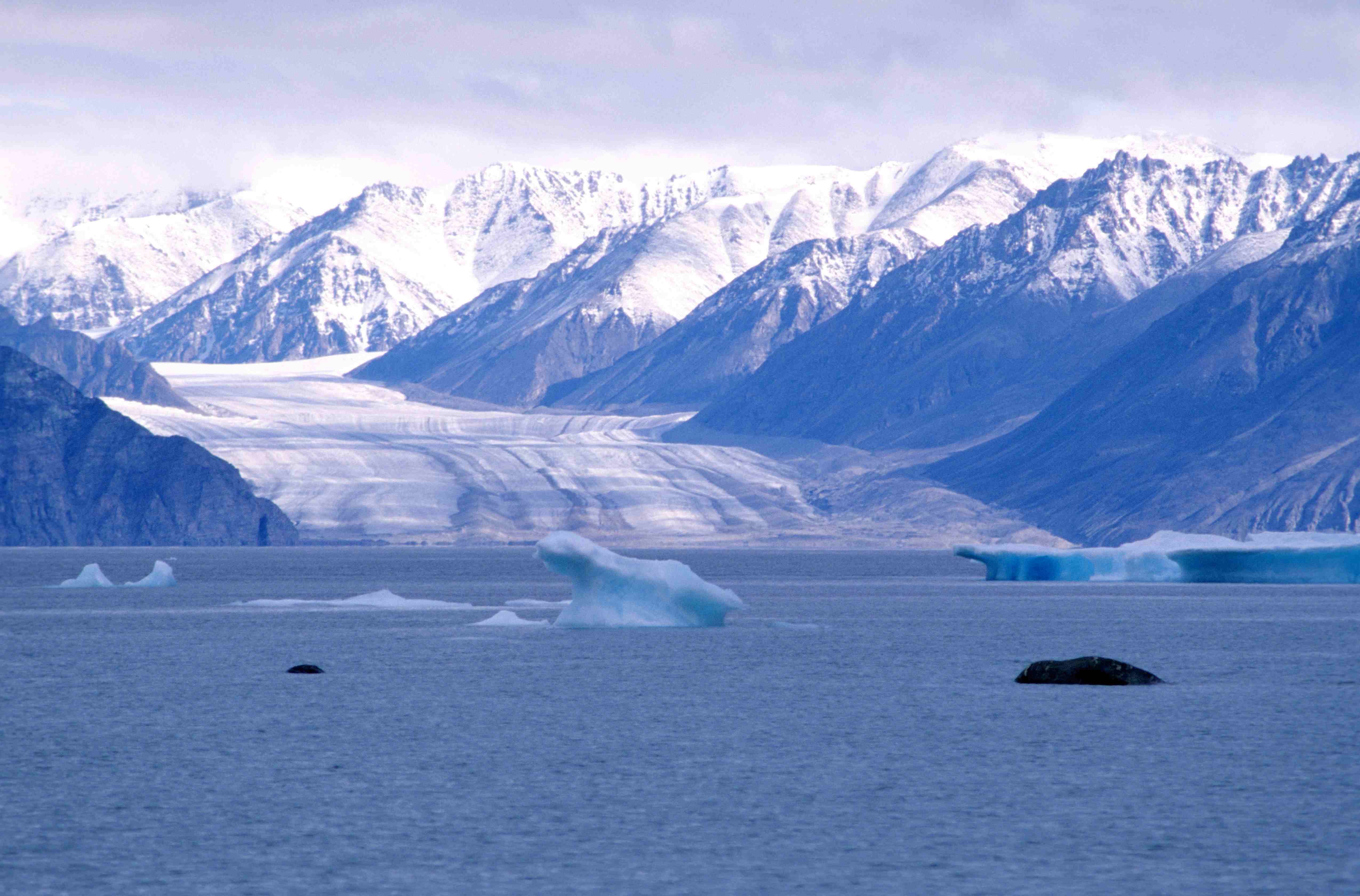 https://mdw-travel-data-us-east-1.s3.amazonaws.com/img/country/Canada/Sirmilik-National-Park/img_02.jpg