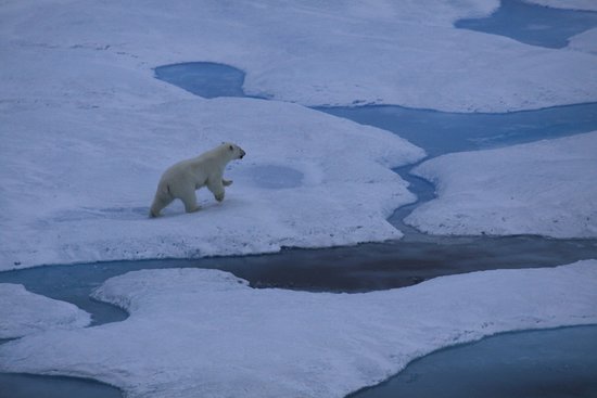 https://mdw-travel-data-us-east-1.s3.amazonaws.com/img/country/Canada/Sirmilik-National-Park/img_03.jpg