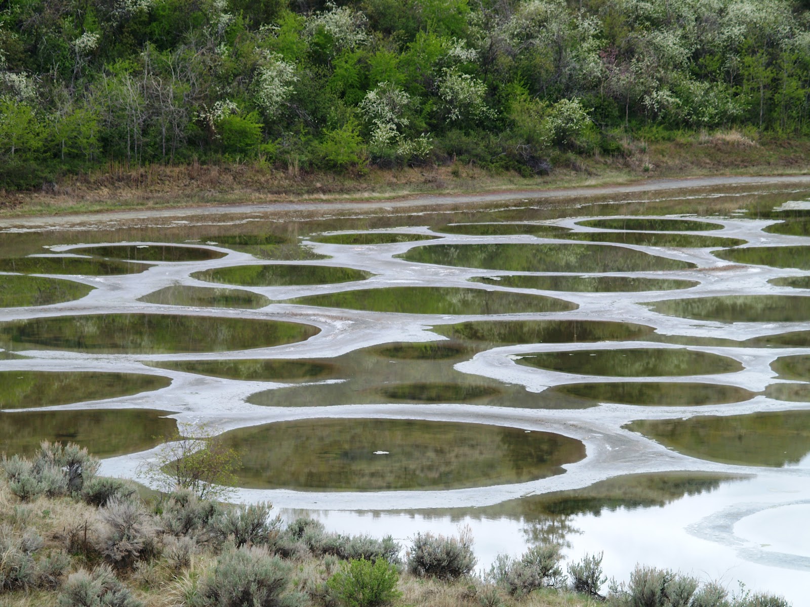 https://mdw-travel-data-us-east-1.s3.amazonaws.com/img/country/Canada/Spotted-Lake/img_02.jpg