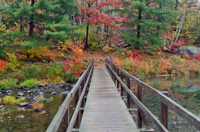 https://mdw-travel-data-us-east-1.s3.amazonaws.com/img/country/Canada/Spruce-Woods-Provincial-Park/img_02.jpg