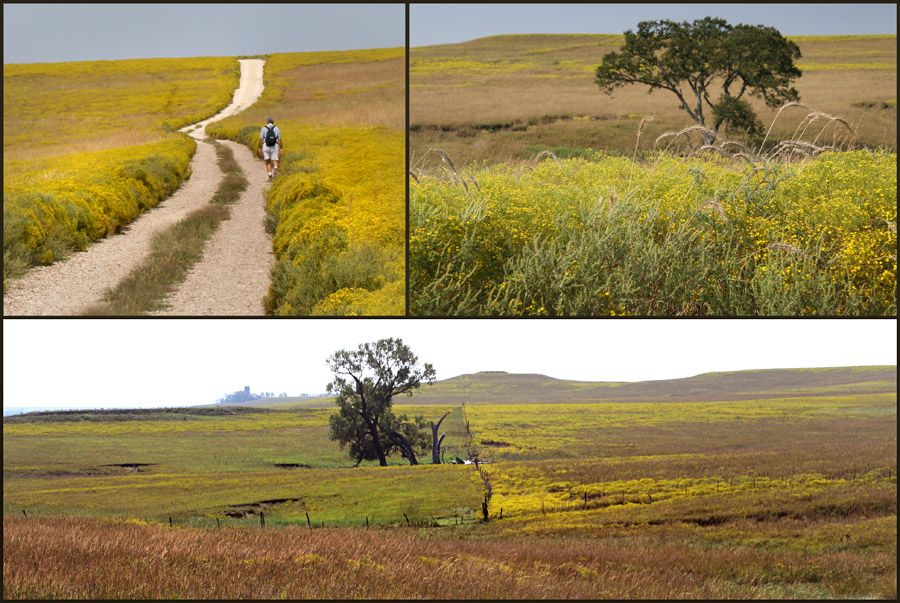 https://mdw-travel-data-us-east-1.s3.amazonaws.com/img/country/Canada/Tall-Grass-Prairie-Preserve/img_01.jpg