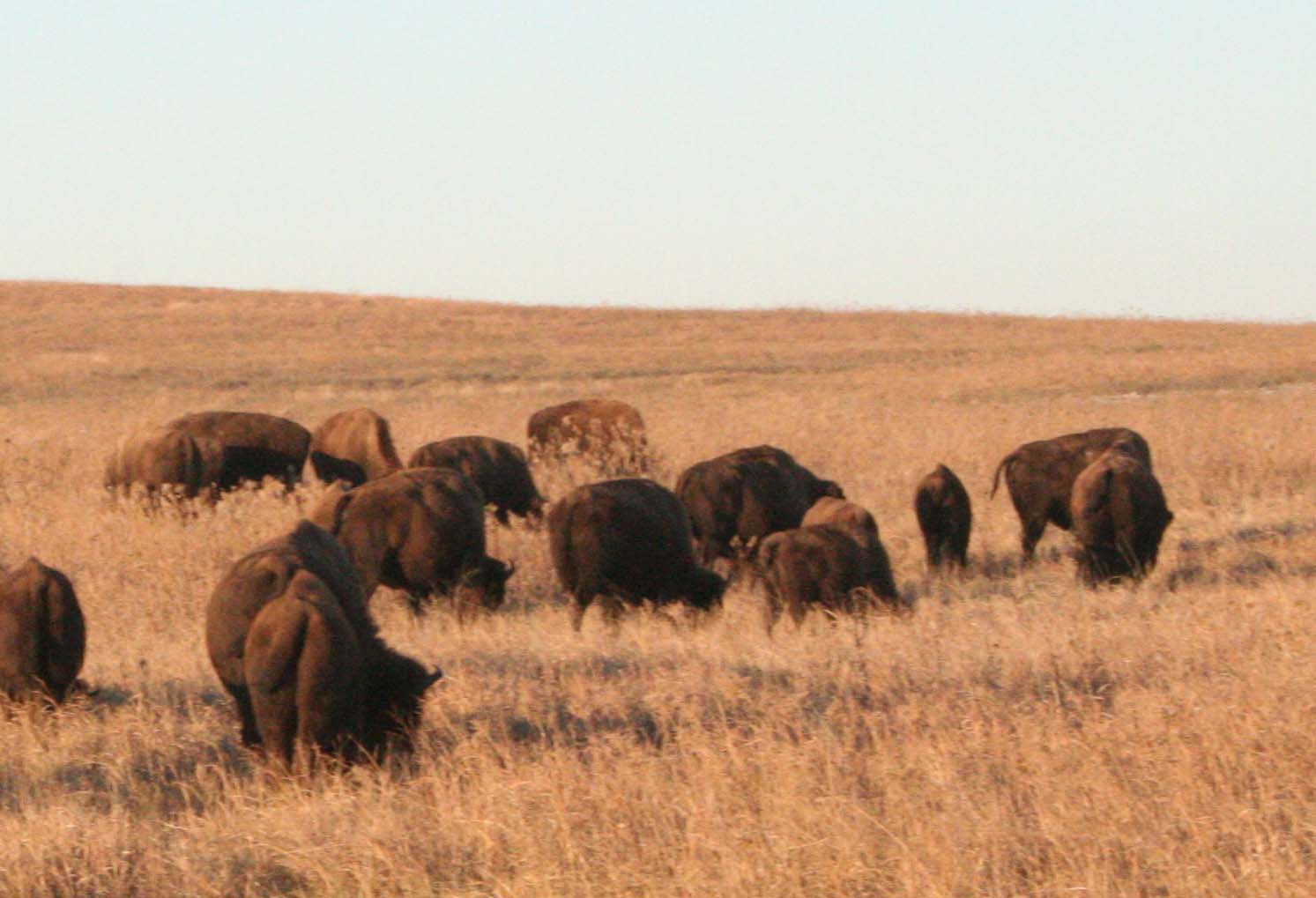 https://mdw-travel-data-us-east-1.s3.amazonaws.com/img/country/Canada/Tall-Grass-Prairie-Preserve/img_02.jpg