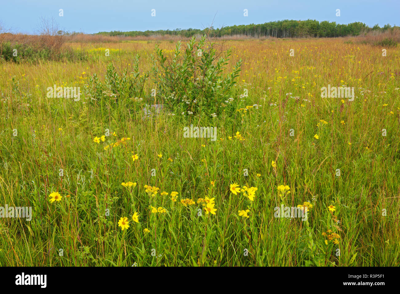 https://mdw-travel-data-us-east-1.s3.amazonaws.com/img/country/Canada/Tall-Grass-Prairie-Preserve/img_04.jpg