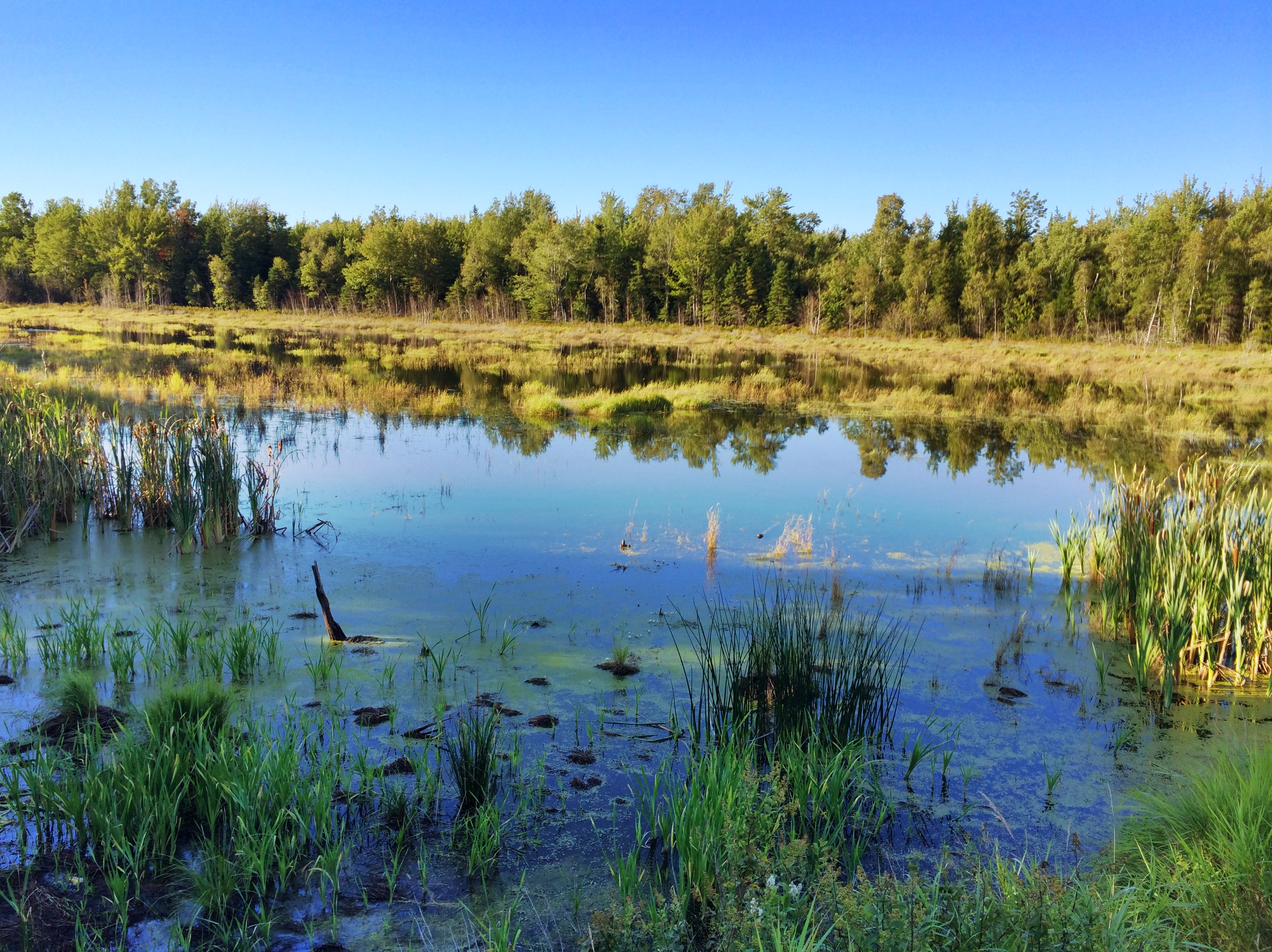 https://mdw-travel-data-us-east-1.s3.amazonaws.com/img/country/Canada/Tatamagouche/img_04.jpg