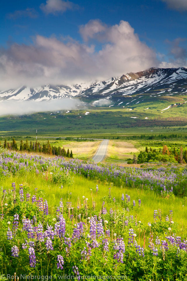 https://mdw-travel-data-us-east-1.s3.amazonaws.com/img/country/Canada/Tatshenshini-Alsek-Provincial-Park/img_05.jpg