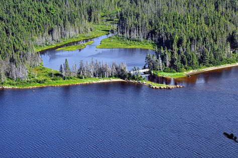 https://mdw-travel-data-us-east-1.s3.amazonaws.com/img/country/Canada/Terra-Nova-National-Park/img_02.jpg